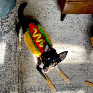 Hotdog Chicago dog costume medium